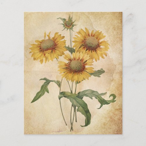 Vintage Flowers Aged Watercolour Scrapbook Paper