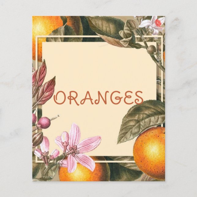 Vintage Flowers and Oranges (Front)