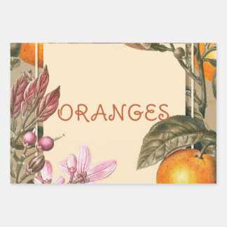 Vintage Flowers and Oranges Wrapping Paper Sheets