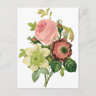 Vintage Flowers, Anemone Roses Clematis by Redoute Postcard
