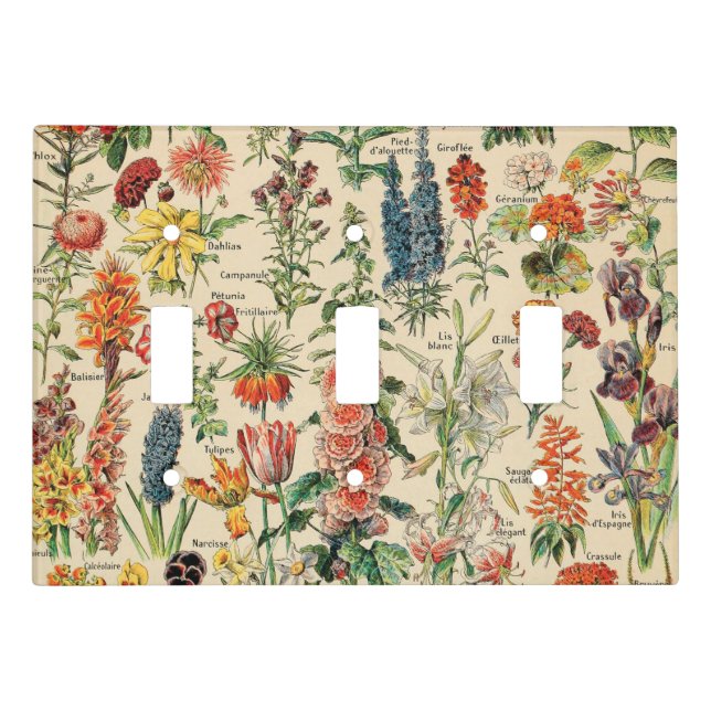 Vintage Flowers by Adolphe Millot Light Switch Cover (Front)
