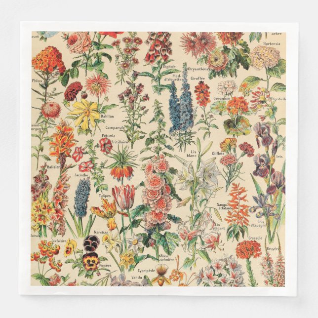 Vintage Flowers by Adolphe Millot Paper Dinner Napkins (Front)