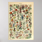 Adolphe Millot Vintage Fleurs Flower 1909 Wall Tapestry by