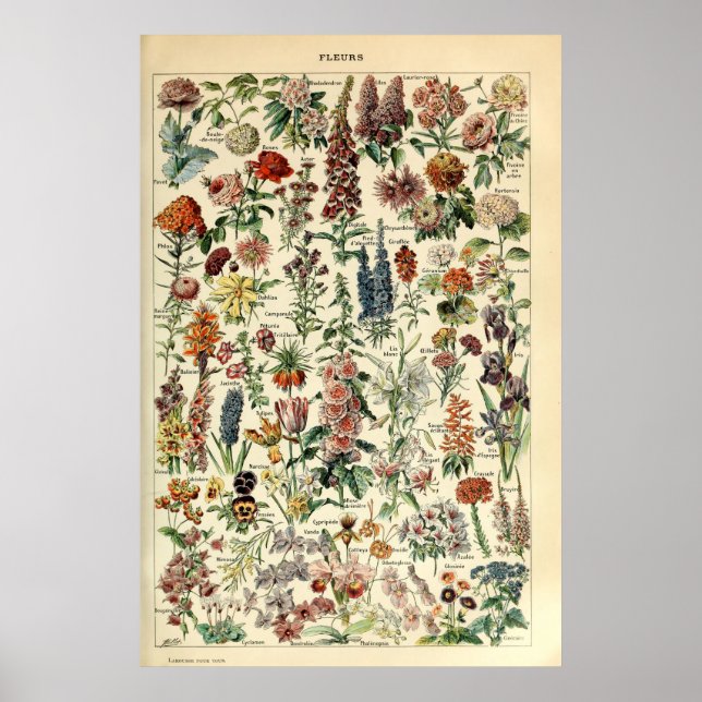 Vintage Flowers by Adolphe Millot Poster (Front)