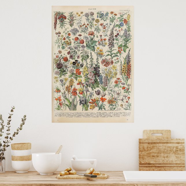 Vintage Flowers by Adolphe Millot Poster (Kitchen)