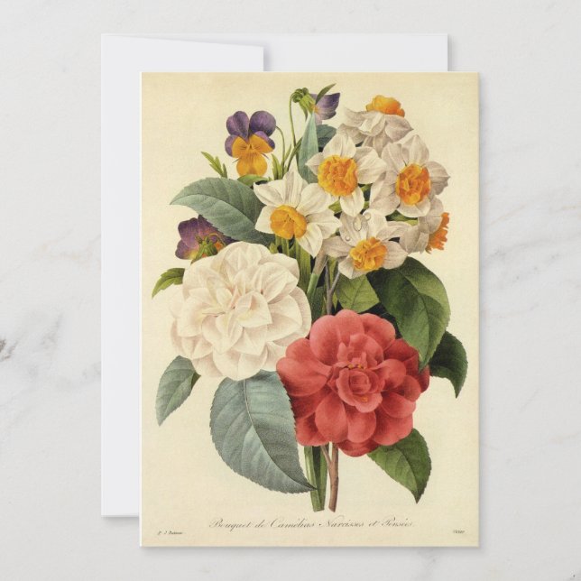 Vintage Flowers, Camellias and Narcissus, Redoute (Front)
