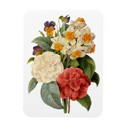 Vintage Flowers Camellias and Narcissus Redoute Magnet