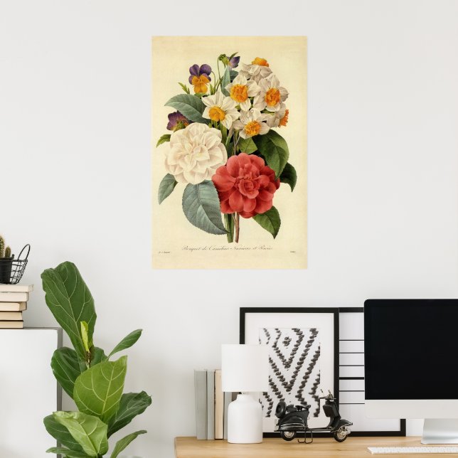 Vintage Flowers, Camellias and Narcissus, Redoute Poster (Home Office)