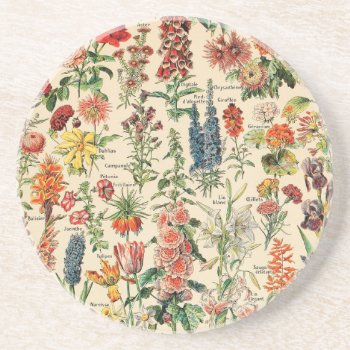 Vintage Flowers Coaster by colorfulworld at Zazzle