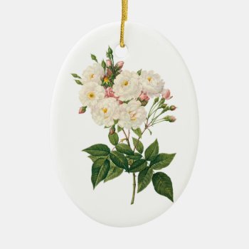 Vintage Flowers Floral Blush Noisette Rose Redoute Ceramic Ornament by Tchotchke at Zazzle