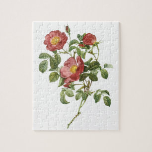 Vintage Flowers Floral Red Rose of Love by Redoute Jigsaw Puzzle