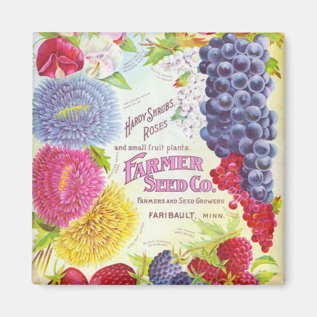 Vintage Flowers & Fruit Magnet (Front)