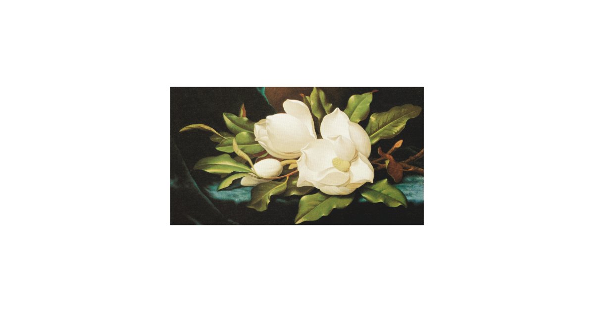 Vintage Flowers, Giant Magnolias by Martin Heade Canvas Print | Zazzle