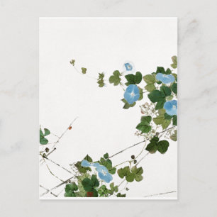 Vintage Flowers Illustration Postcard