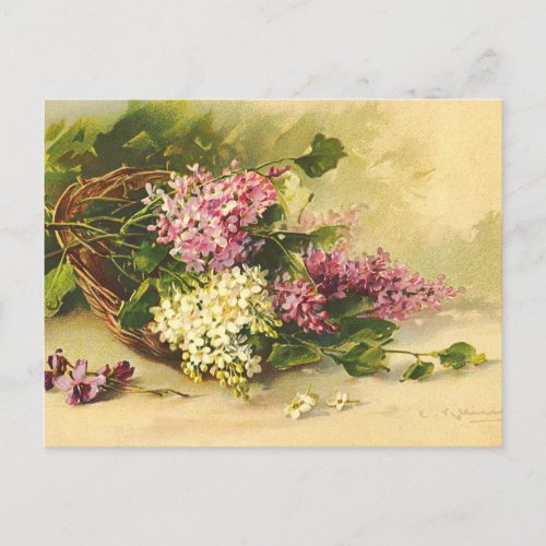 Vintage Flowers Postcard