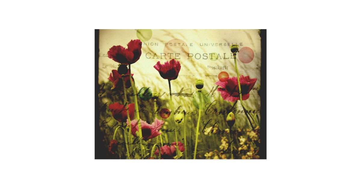 Vintage flowers Postcard | Zazzle