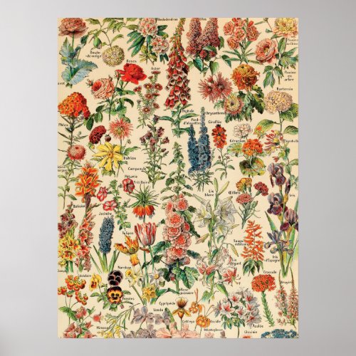 Vintage Flowers Poster