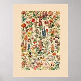 Vintage Flowers Poster