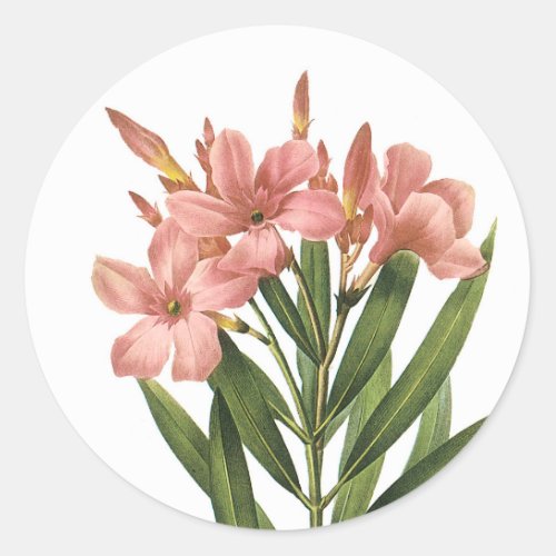 Vintage Flowers stickers 3 B