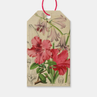 Vintage Flowers Tag