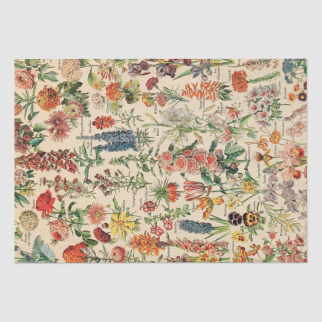 Vintage Flowers Tissue Paper (Front)