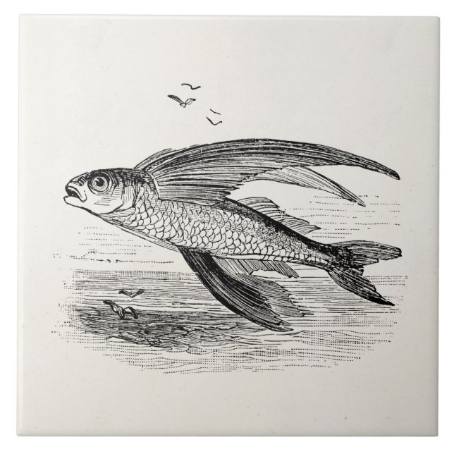 Vintage Flying Fish Antique Personalized Template Ceramic Tile (Front)