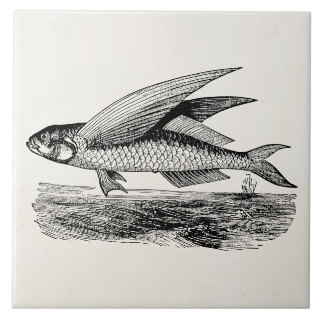Vintage Flying Fish - Aquatic Fishes Template Ceramic Tile (Front)