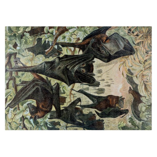 Vintage flying fox bat acadamia illustration  cutting board (Front)