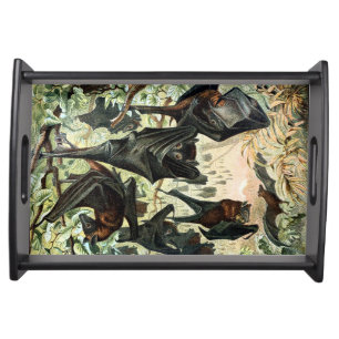 Vintage flying fox bat acadamia illustration  serving tray