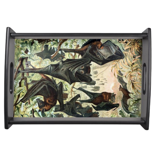 Vintage flying fox bat acadamia illustration  serving tray (Front)
