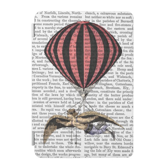 Vintage Flying Machine iPad Mini Cover (Front)