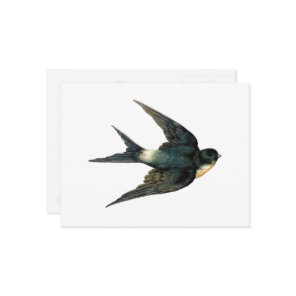 Vintage Flying Swallow Bird Antique Illustration Postcard