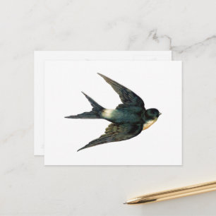 Vintage Flying Swallow Bird Antique Illustration Postcard
