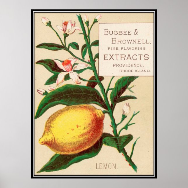 Vintage : food advertising - poster (Front)