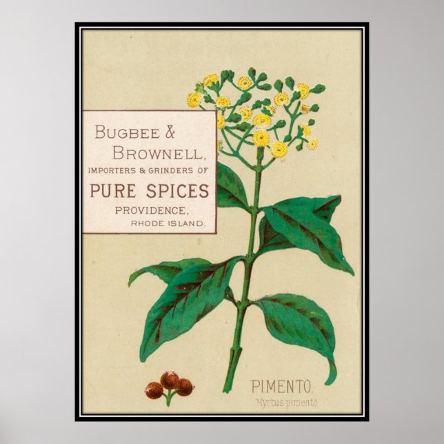 Vintage : food advertising - poster (Front)