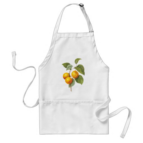 Vintage Food Fruit Apricot Peach by Redoute Adult Apron