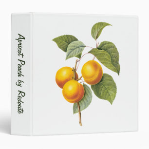 Vintage Food Fruit, Apricot Peach by Redoute Binder