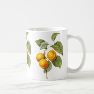Vintage Food Fruit, Apricot Peach by Redoute Coffee Mug