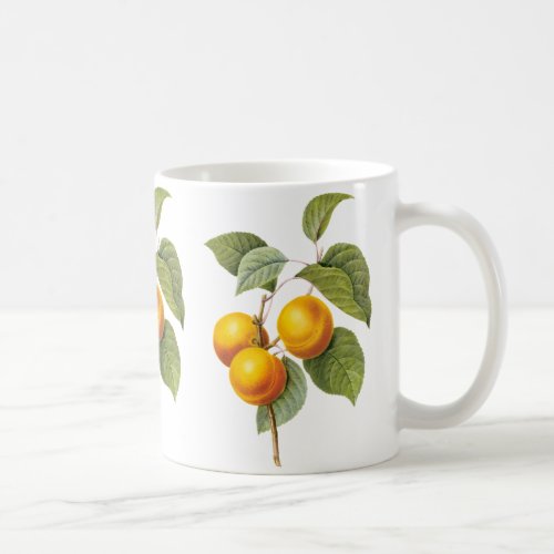 Vintage Food Fruit Apricot Peach by Redoute Coffee Mug