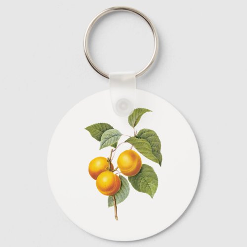 Vintage Food Fruit Apricot Peach by Redoute Keychain