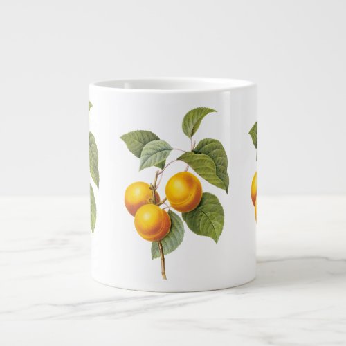 Vintage Food Fruit Apricot Peach by Redoute Large Coffee Mug