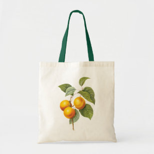 Vintage Food Fruit, Apricot Peach by Redoute Tote Bag