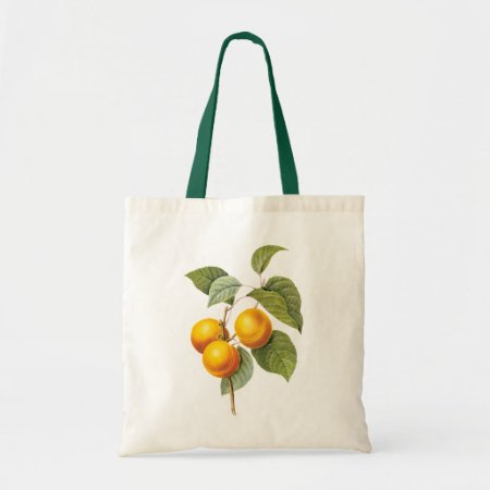 Vintage Food Fruit, Apricot Peach By Redoute Tote Bag