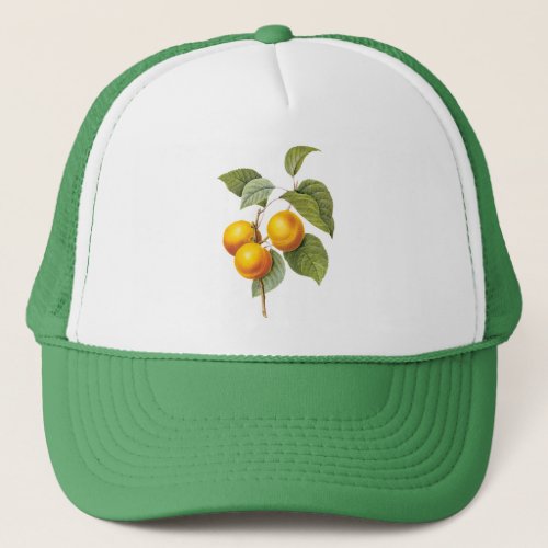 Vintage Food Fruit Apricot Peach by Redoute Trucker Hat