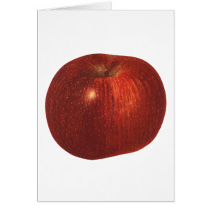 Vintage Food Fruit, Organic Red Delicious Apple Cards