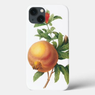 Vintage Food Fruit, Pomegranate by Redoute iPhone 13 Case