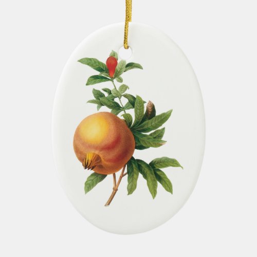 Vintage Food Fruit Pomegranate by Redoute Ceramic Ornament