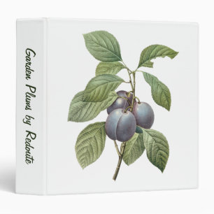 Vintage Food Fruit, Purple Garden Plums by Redoute Binder
