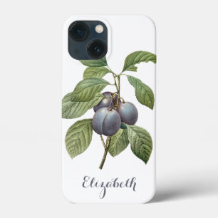 Vintage Food Fruit, Purple Garden Plums by Redoute iPhone 13 Mini Case