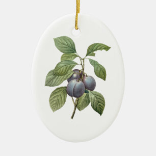 Vintage Food Fruit, Purple Garden Plums by Redoute Ceramic Ornament